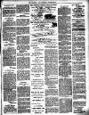 Lewisham Borough News Thursday 19 April 1894 Page 3