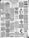 Lewisham Borough News Thursday 16 August 1894 Page 3