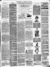 Lewisham Borough News Thursday 08 November 1894 Page 3