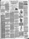 Lewisham Borough News Thursday 22 November 1894 Page 3