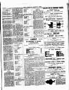 Lewisham Borough News Thursday 12 June 1902 Page 3