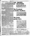 Lewisham Borough News Thursday 11 January 1906 Page 2