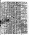 Liverpool Shipping Telegraph and Daily Commercial Advertiser Saturday 06 June 1874 Page 3