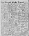 Liverpool Shipping Telegraph and Daily Commercial Advertiser Friday 20 February 1885 Page 1