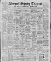Liverpool Shipping Telegraph and Daily Commercial Advertiser Tuesday 03 March 1885 Page 1