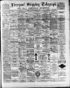 Liverpool Shipping Telegraph and Daily Commercial Advertiser Wednesday 18 January 1893 Page 1