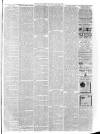 Malton Gazette Saturday 23 March 1889 Page 3