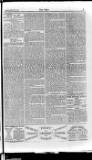 Echo (London) Friday 10 January 1873 Page 3