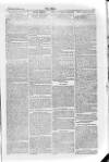 Echo (London) Thursday 09 October 1873 Page 5