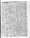 Limerick Echo Tuesday 07 January 1902 Page 3