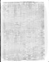 Limerick Echo Tuesday 07 February 1905 Page 3