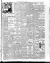 Limerick Echo Tuesday 01 June 1909 Page 3