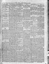 Kerry News Friday 02 February 1894 Page 3