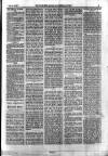 Holloway Press Saturday 06 February 1875 Page 5