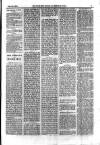 Holloway Press Saturday 20 February 1875 Page 5