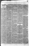 Holloway Press Saturday 04 September 1875 Page 3