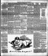 South Western Star Saturday 08 February 1890 Page 3