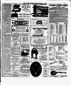 South Western Star Saturday 14 January 1893 Page 7