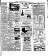 South Western Star Saturday 10 June 1893 Page 7