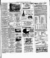 South Western Star Saturday 24 June 1893 Page 7