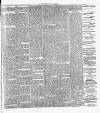 South Western Star Saturday 03 November 1894 Page 3
