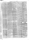 Sydenham, Forest Hill & Penge Gazette Saturday 11 January 1873 Page 7