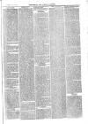 Sydenham, Forest Hill & Penge Gazette Saturday 15 February 1873 Page 3
