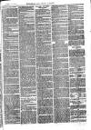 Sydenham, Forest Hill & Penge Gazette Saturday 22 February 1873 Page 7