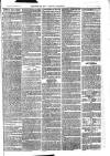 Sydenham, Forest Hill & Penge Gazette Saturday 29 March 1873 Page 7