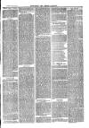 Sydenham, Forest Hill & Penge Gazette Saturday 19 June 1875 Page 3