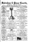 Sydenham, Forest Hill & Penge Gazette Saturday 03 July 1875 Page 1