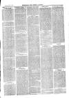 Sydenham, Forest Hill & Penge Gazette Saturday 17 July 1875 Page 3