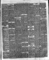 West Kent Argus and Borough of Lewisham News Friday 22 February 1895 Page 5