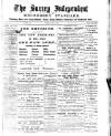 Surrey Independent and Wimbledon Mercury Saturday 13 June 1885 Page 1