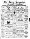 Surrey Independent and Wimbledon Mercury Saturday 31 December 1887 Page 1