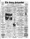 Surrey Independent and Wimbledon Mercury Saturday 24 February 1894 Page 1
