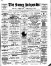 Surrey Independent and Wimbledon Mercury Saturday 21 April 1894 Page 1