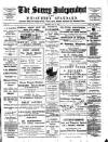 Surrey Independent and Wimbledon Mercury Saturday 19 May 1894 Page 1