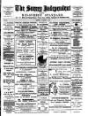 Surrey Independent and Wimbledon Mercury Saturday 17 November 1894 Page 1