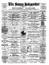 Surrey Independent and Wimbledon Mercury Saturday 15 December 1894 Page 1