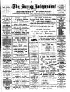 Surrey Independent and Wimbledon Mercury Saturday 01 December 1900 Page 1