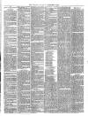 Wallington & Carshalton Herald Saturday 12 February 1881 Page 3