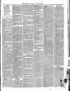 Wallington & Carshalton Herald Saturday 29 April 1882 Page 7