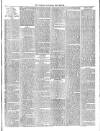 Wallington & Carshalton Herald Saturday 29 July 1882 Page 3