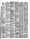 Wallington & Carshalton Herald Saturday 26 May 1883 Page 3