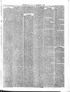 Wallington & Carshalton Herald Saturday 29 December 1883 Page 3