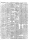 Wallington & Carshalton Herald Saturday 21 June 1884 Page 7