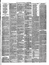 Wallington & Carshalton Herald Saturday 09 August 1884 Page 7