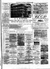 Wallington & Carshalton Herald Saturday 24 October 1885 Page 3