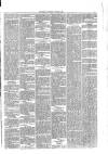 Wallington & Carshalton Herald Saturday 05 January 1889 Page 5